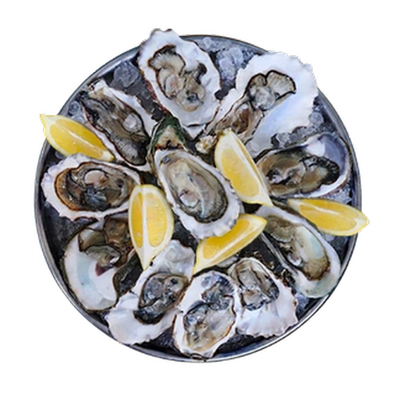 Ostras frescas